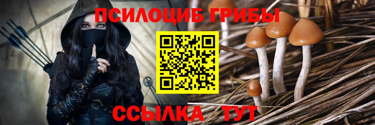 Галлюциногенные грибы MAGIC MUSHROOMS Воронеж